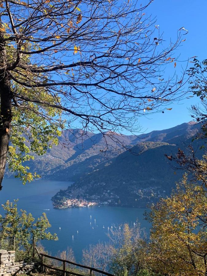 Il Riccio Appartamento Cernobbio Dış mekan fotoğraf