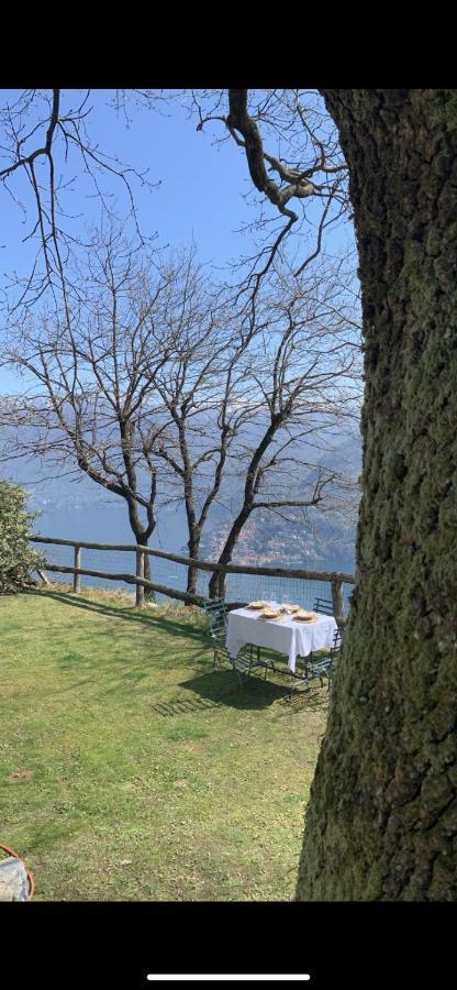 Il Riccio Appartamento Cernobbio Dış mekan fotoğraf