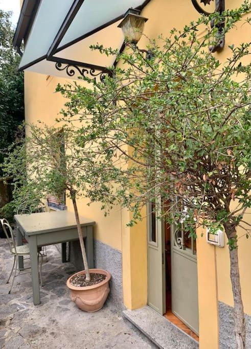Il Riccio Appartamento Cernobbio Dış mekan fotoğraf
