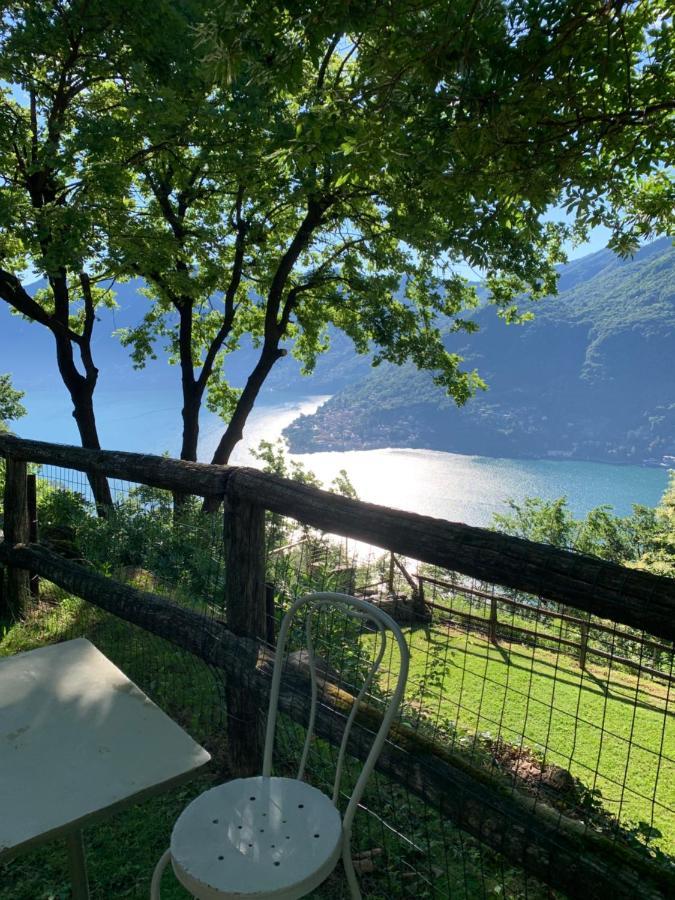 Il Riccio Appartamento Cernobbio Dış mekan fotoğraf